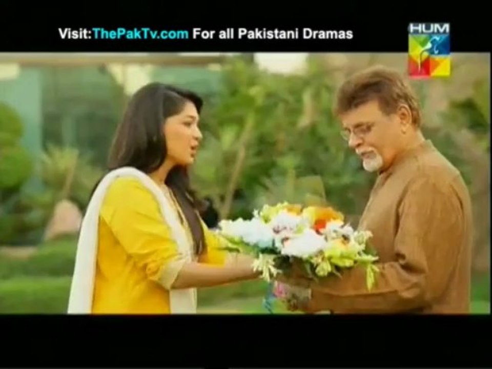 Dil E Muzter Episode 14 By Hum TV
