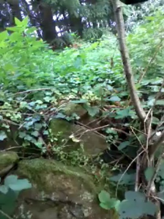 Funker540 , je me fait dead en plaine partie :D abonne toi :)