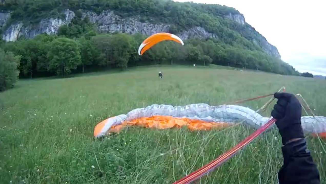 Phil vole avec les rapaces