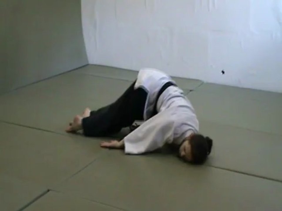 Suwari mae kaeten ukemi : éducatif