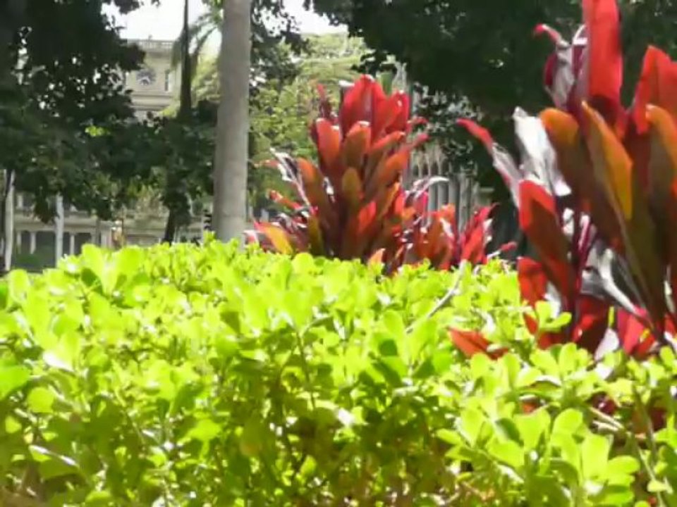 HONOLULU  HAWAII 2013 002
