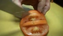 Sharpest Knife in the World Slices Tomato Super Thin-1