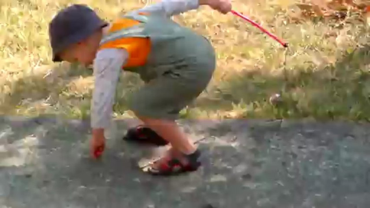 Les deux meilleurs copains du monde, Alex et Looping...