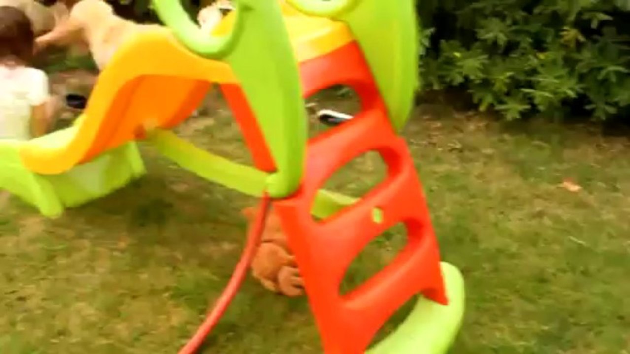 chiots I. Anse Malfalco 9 semaines toboggan