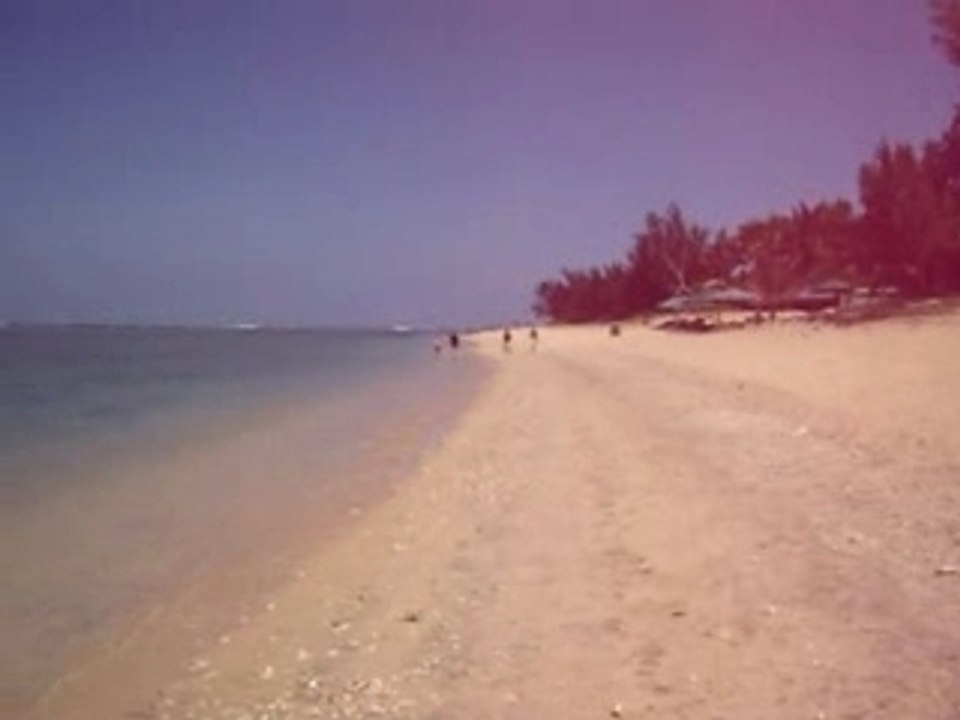 La réunion en super-Daily (sonore)