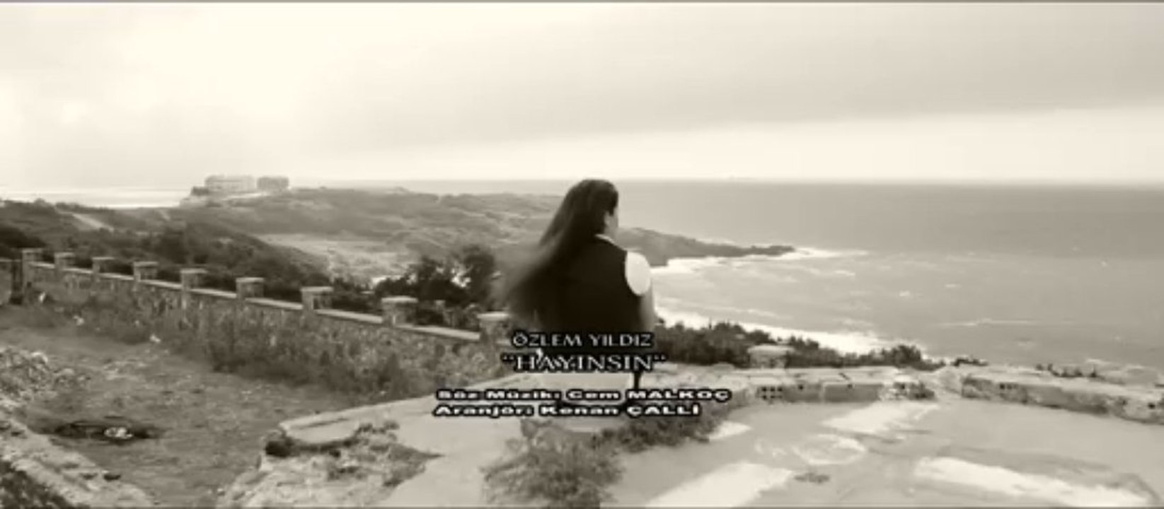 Özlem Yıldız - Hayınsın - (2013)