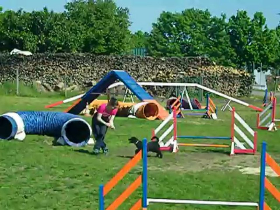 Petit parcours Agility