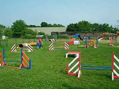 parcours Agility 2 tunnels