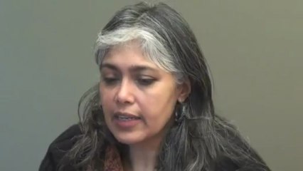 Pakistan: A Journalist's View  An Interview with Beena Sarwar - 4