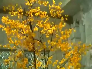 Sansar Se Bhage Phirte Ho-Film- Chitraleka, Song Composer- Sahir Ludhianvi