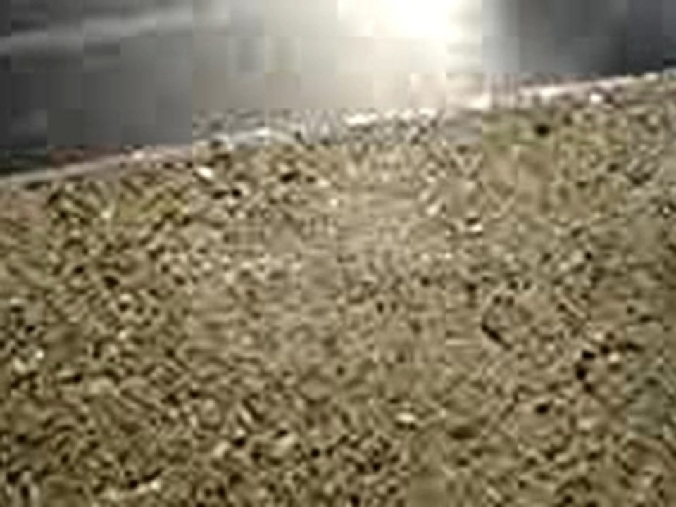 MOV00184