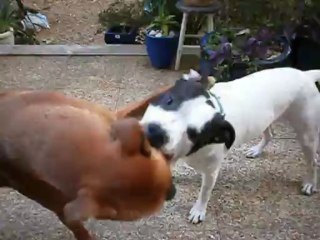 Jeux avec Eros le 13/07/2013