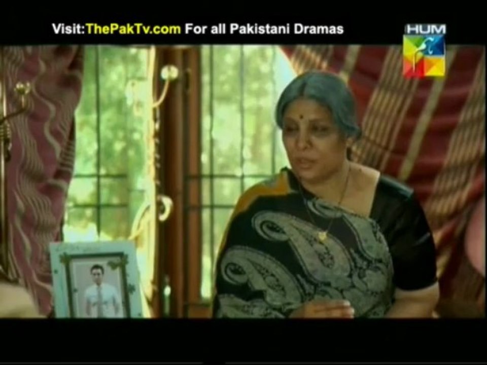 Humnasheen Episode 19 By HUM TV