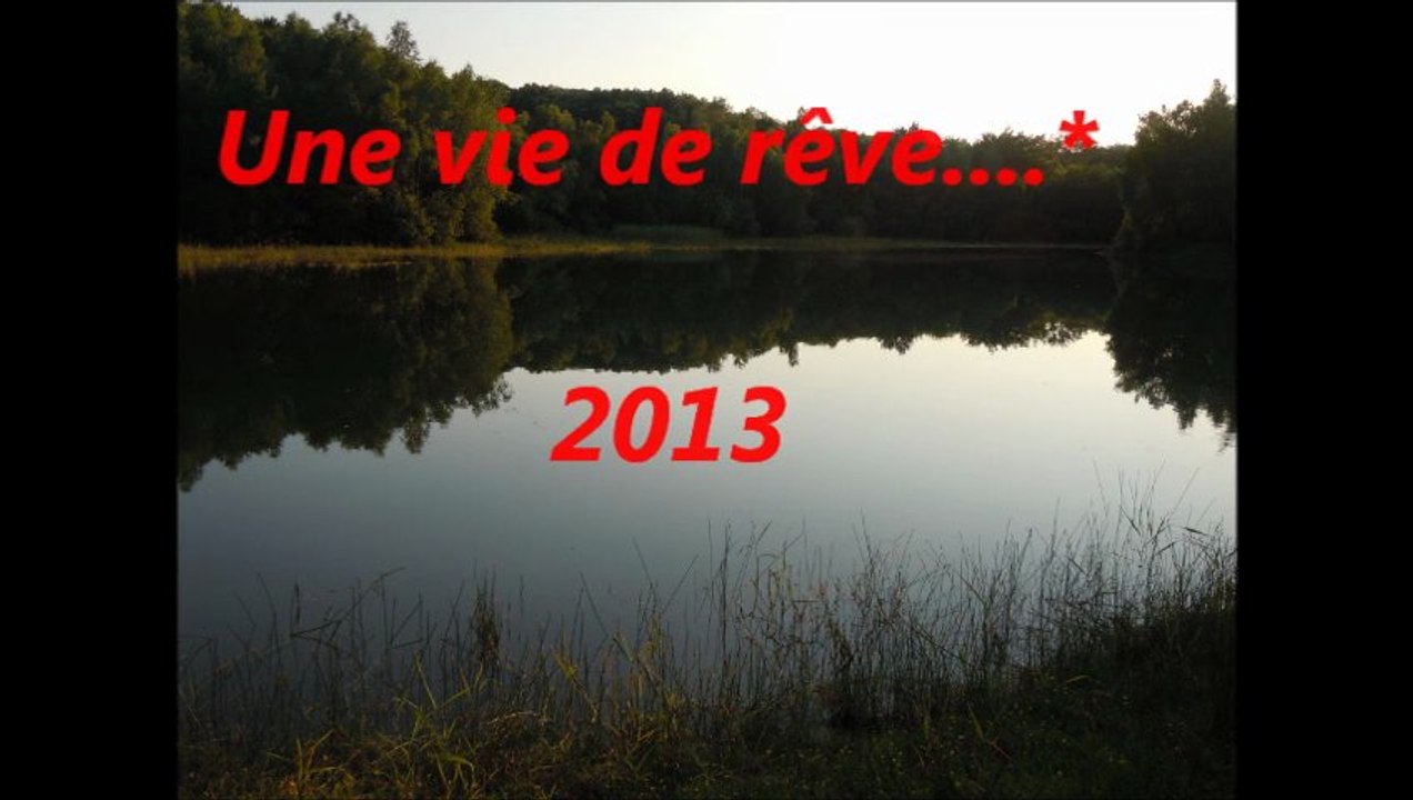 Une vie de rêve... 2013