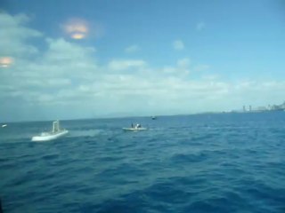 HOHOLULU HAWAII 2013 037