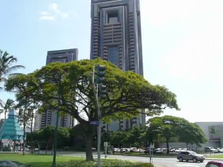 HOHOLULU HAWAII 2013 031