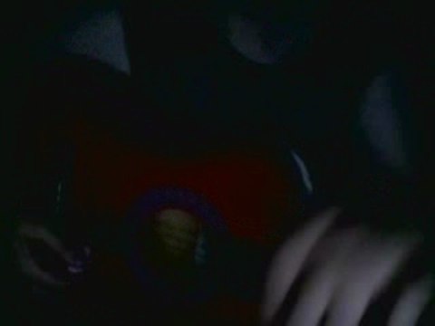 algerie mon beau pays