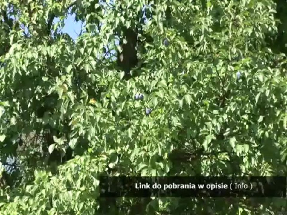 trudne sprawy szablon