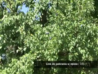 trudne sprawy szablon