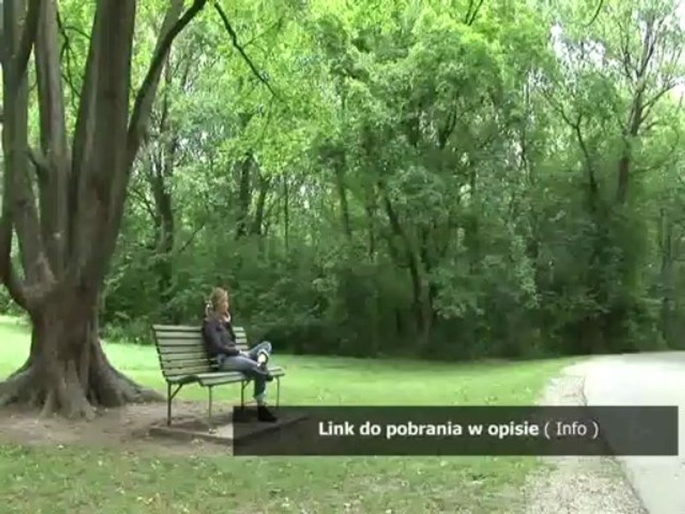 Friday 1995 lektor pl