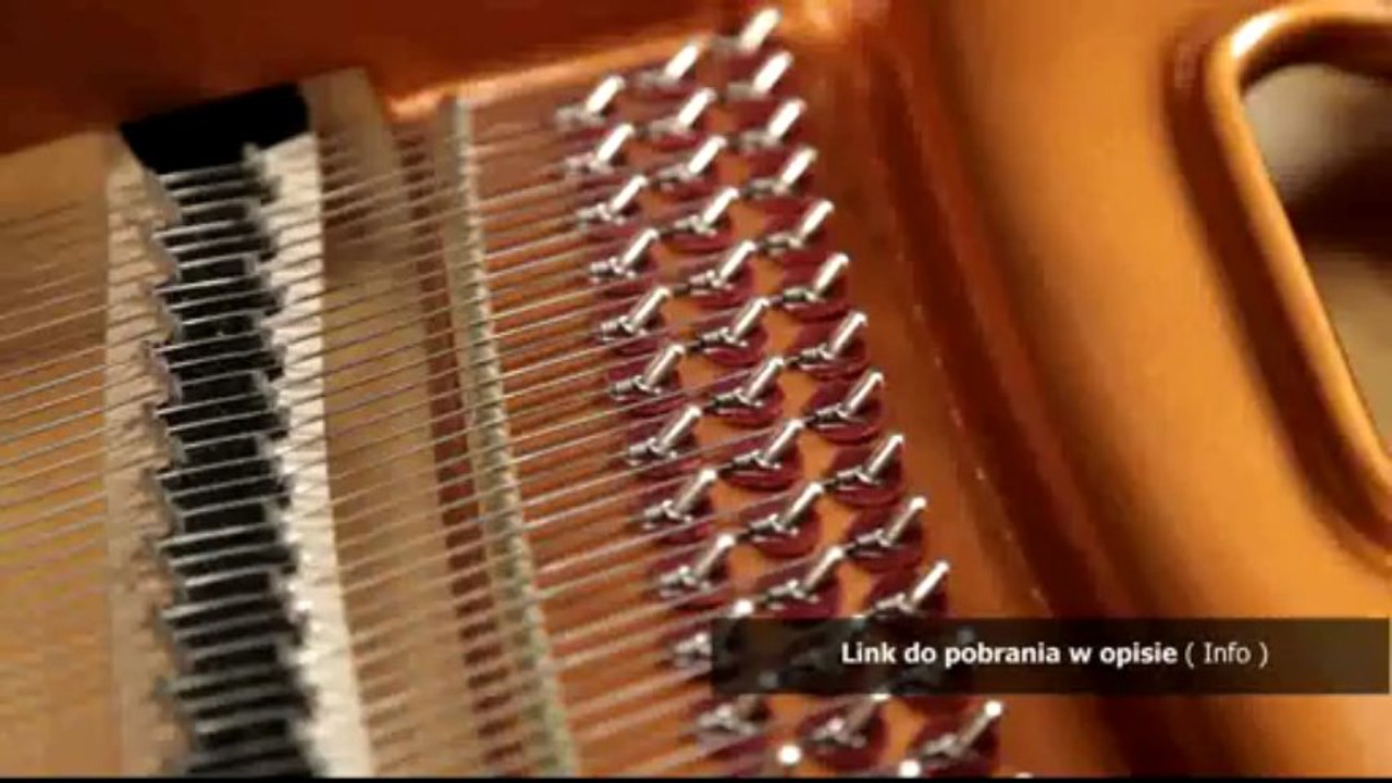 poradnik do kingdoms of amalur reckoning pdf