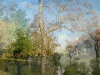 A DONDE  IRE    (  VOX   DEI)  VOZ  DE  DIOS