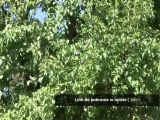 hack do gier na facebooku