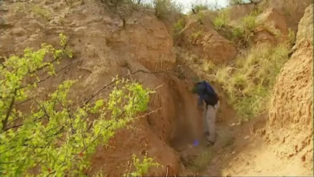 The Ape That Took Over the World (Documentary)