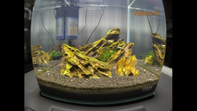 Time Lapse - Taiwan Bee Mixte