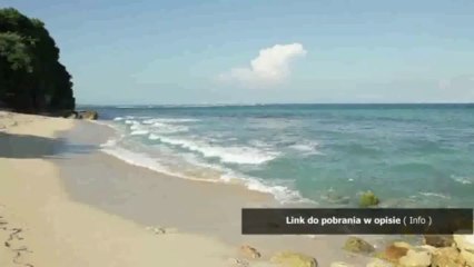 jordan robert pomruki burzy pdf