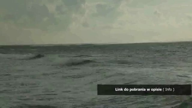 pytania+odpowiedzi przed komisja dyplomowany