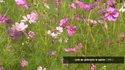 Razem w szkole klasa 2 testy dla nauczycieli czesc 5