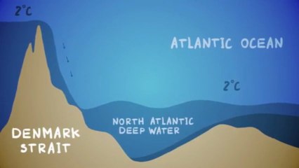 How big is the ocean_ - Scott Gass