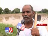 Tv9 Gujarat - Heavy rain affecting crops in Patan
