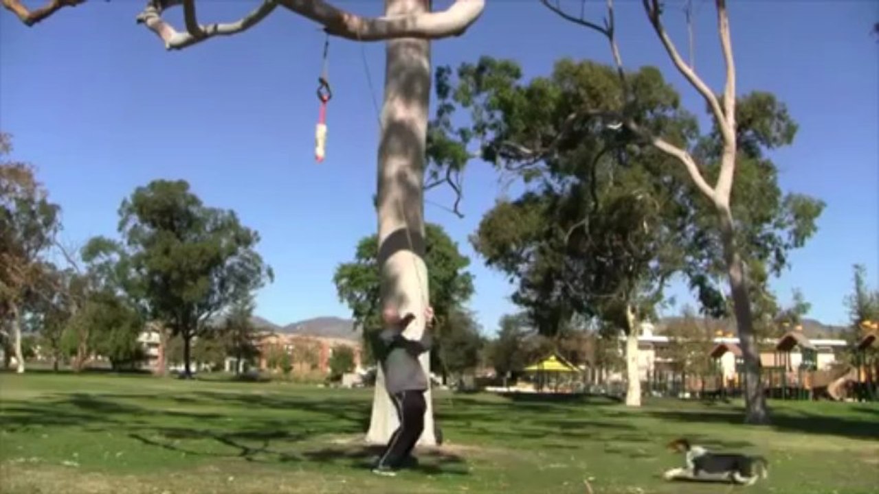 Just Jumpy the dog