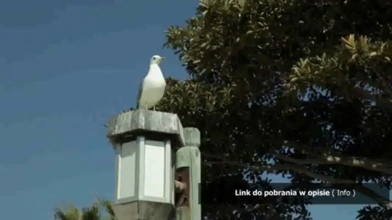 dysleksja testy