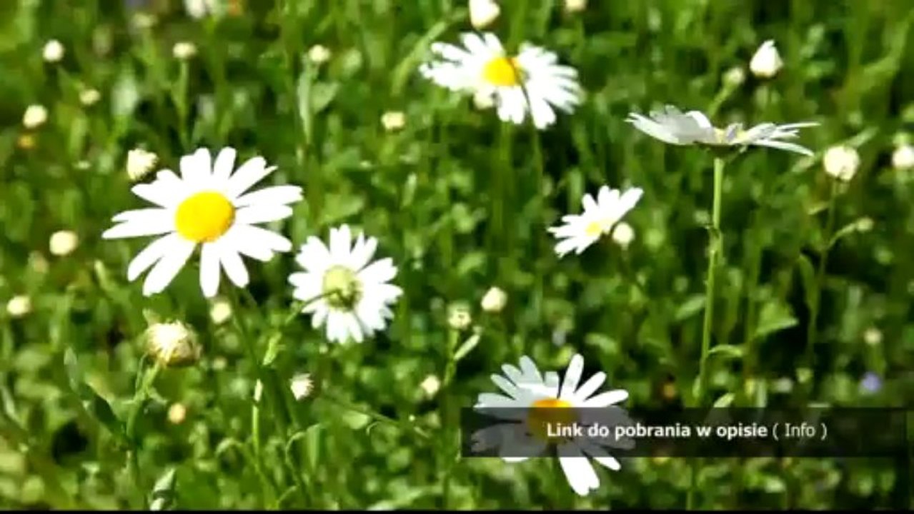 Arka Noego - karaoke Ta piosenka jest dla mamy