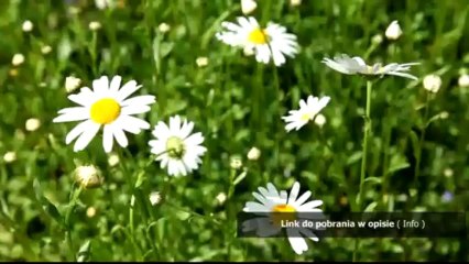 spolszczenie far cry 2 download