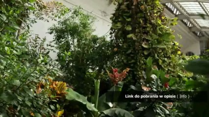 aktualizacja do lark 43.3