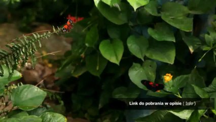 Ekipa z New Jersey sezon 3 pl