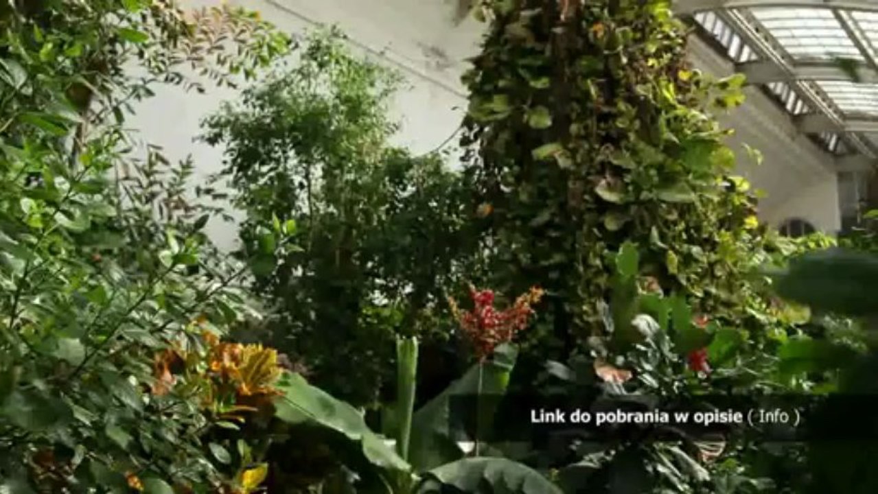 spolszczenie do delta force xtreme 2