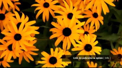 katalog spam nasza klasa