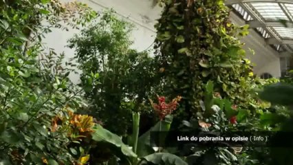 kody do kingdom rush 2