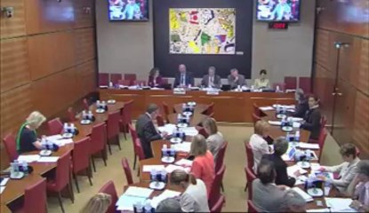 26 juin 2013 - Com des ACE : Intervention lors de l'examen du PL décentralisation