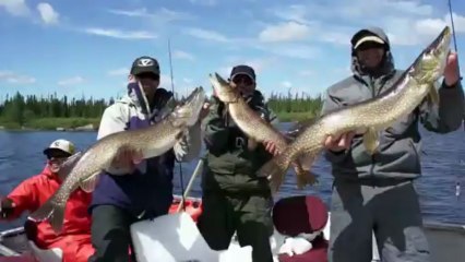 Expedition baie james 2012