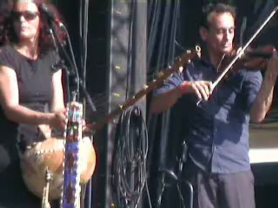 Lo Jo Terres Du Son 2013