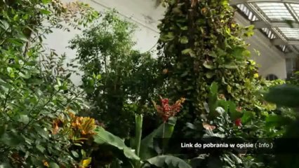 wojciech cejrowski wc na koncu orinoko PDF