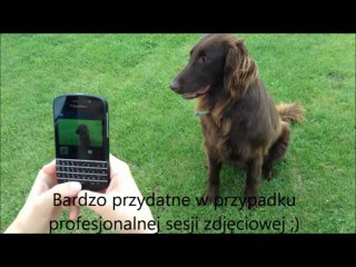 Test skrótów klawiszowych BlackBerry Q10
