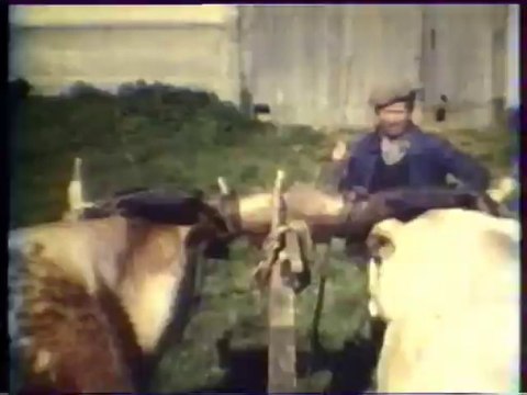 L'attelage de boeufs d'Armand Tazare à Anost (71)