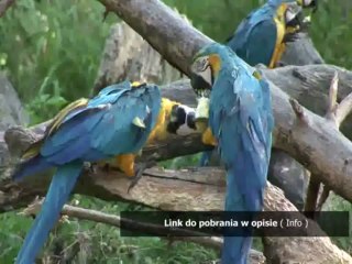 kurs hrywny przelicznik